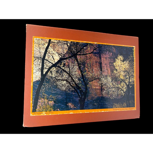 Vintage Springbok Bookcase Puzzles Autumn Moment & Reflections Ernst Haas - Picture 1 of 9